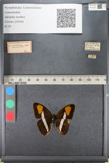 Media type: image;   Entomology 141021